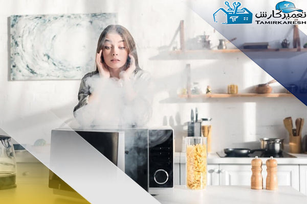 عیب یابی دلیل دود کردن ماکروفر